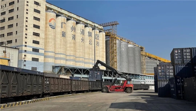 广州港粮食“散改集”铁路发运量创新高