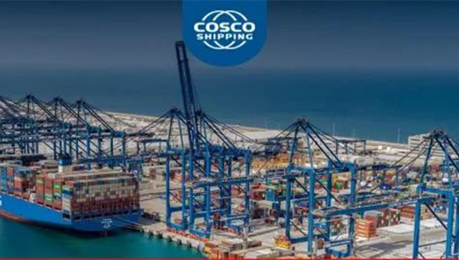COSCO SHIPPING Holdings' net profit in 2020 exceede