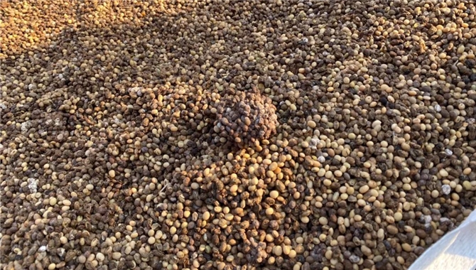 提单关于货物表面状况记载的法律含义