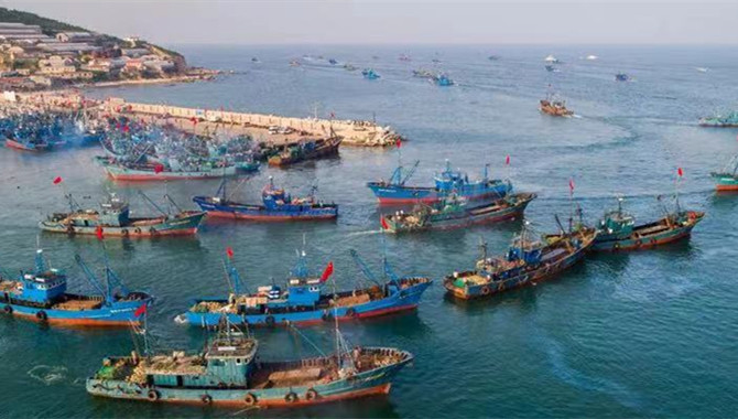 Collision between Merchant and Fishing Vessels in C