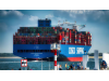 COSCO SHIPPING Holdings achieved the best performan
