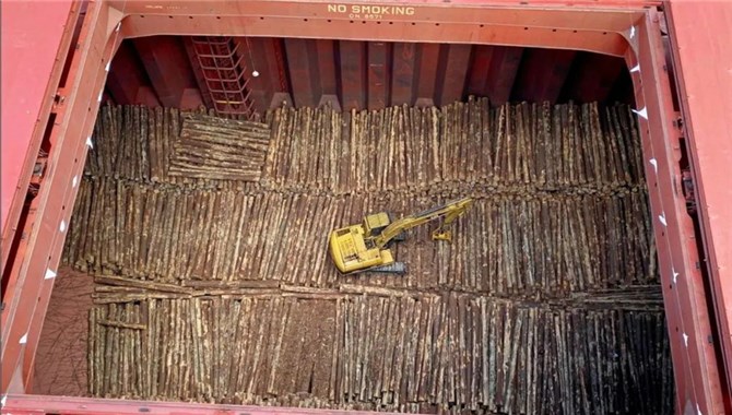 史上首次！20万吨级Newcastlemax大船装原木