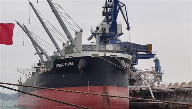 大连港首次接卸保加利亚外贸进口玉米