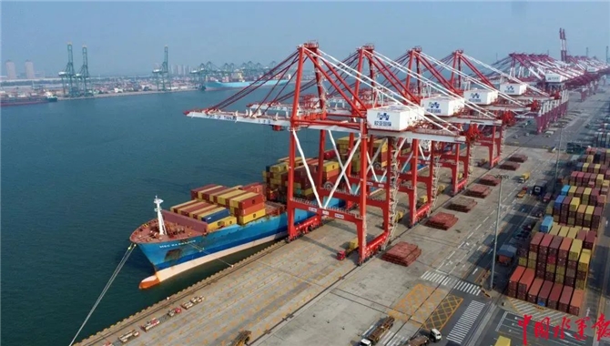 携手欧亚码头: MSC在天津港开启新篇章