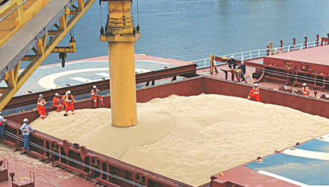 China's July soybean imports slide amid poor crush 