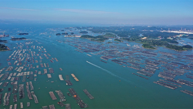 China's marine economy stabilizes in first half