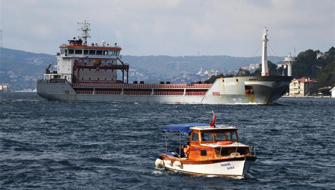 12 vessels authorized to depart Ukrainian ports for