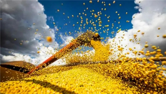巴西预计2022/23年度大豆产量将达到1.516亿