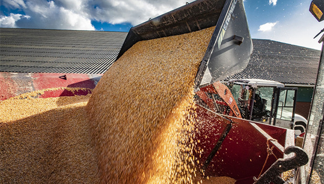 China ramps up imports of corn, other agricultural 