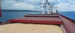 俄罗斯宣布黑海港口农产品外运协议效力