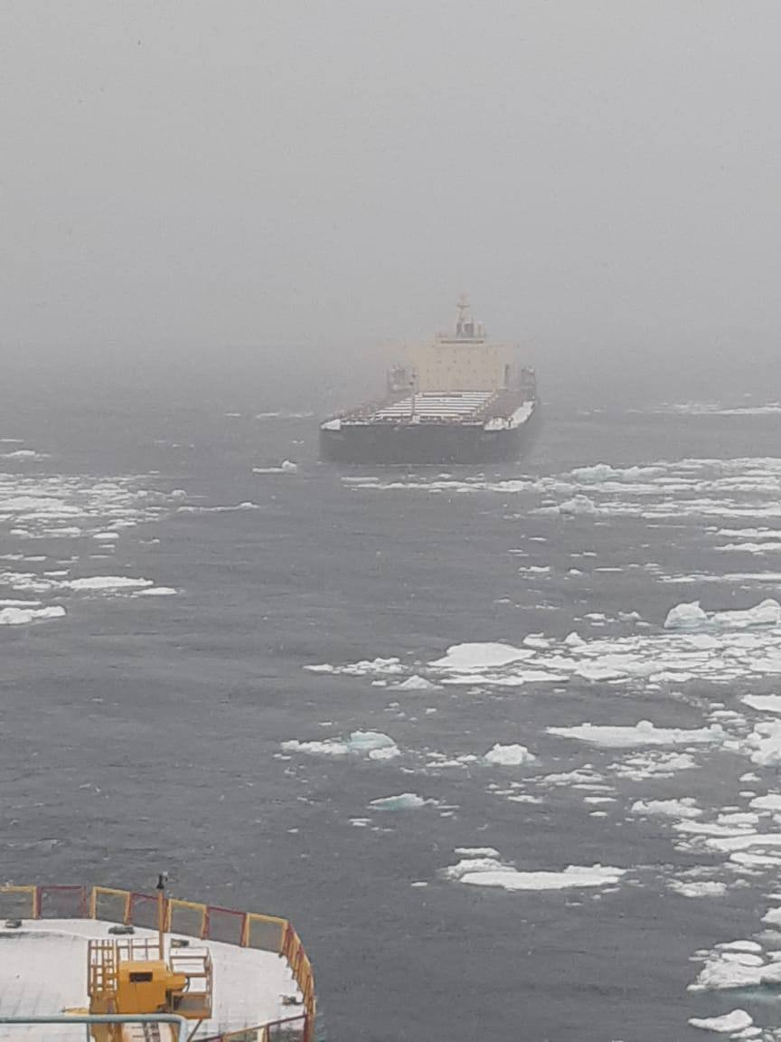 罕见！一Cape散货船成功穿越北极航线，目