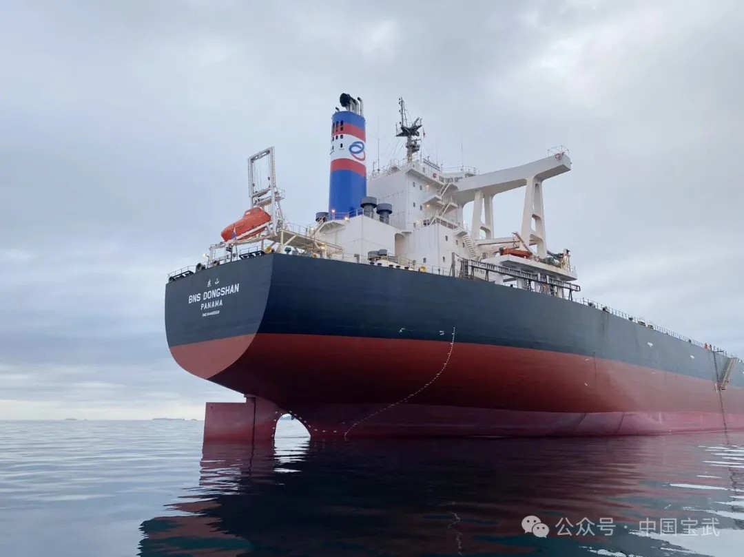 A new Chinese Capesize bulk carrier owner has emerg