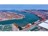 Qingdao Port's automated pulp terminal put into use