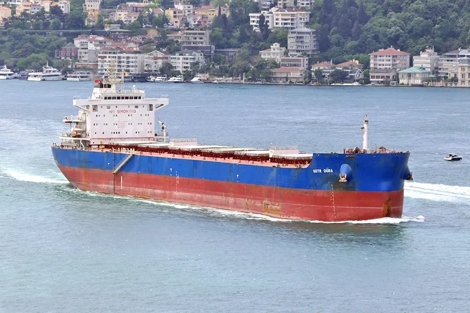 Bidding Announcement of ＂SDTR DORA＂