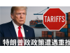 突发！美法院裁定特朗普关税＂违宪＂ ，所有对等关税被叫停！