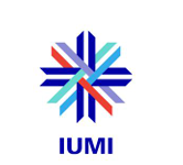 IUMI publishes risk mitigation for the safe ocean c
