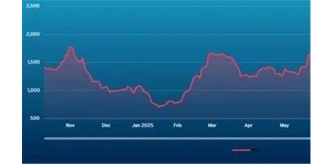 波交所每周运费市场报告（2025年