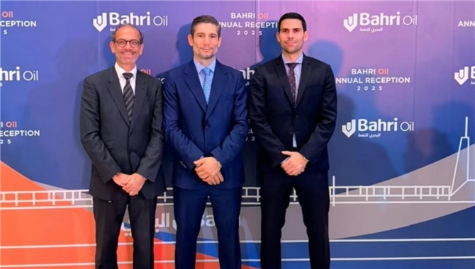 一家多元化希腊船东，诞生！