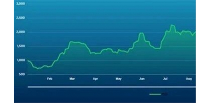 波交所每周运费市场报告（2026年