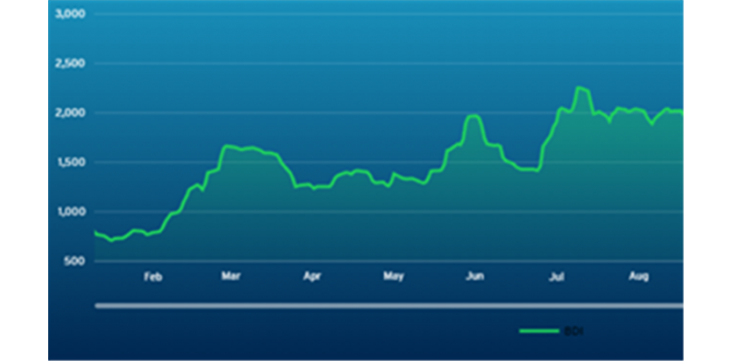 波交所每周运费市场报告（2026年