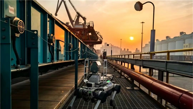 青岛港，引入20种机器人，值班！