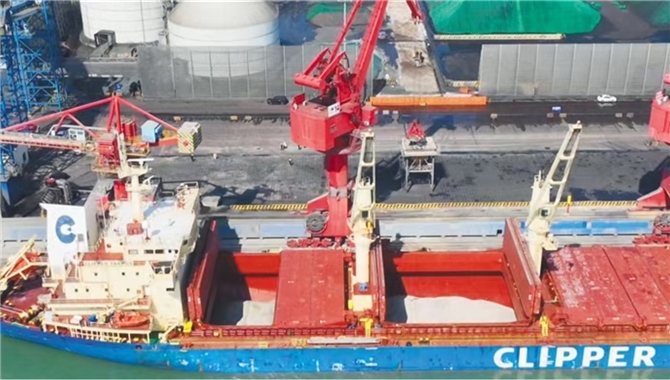 干散货，开始靠“锂”吃饭！