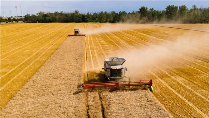 长江枯水绕行等船？不！中远海控有北粮南运更优解