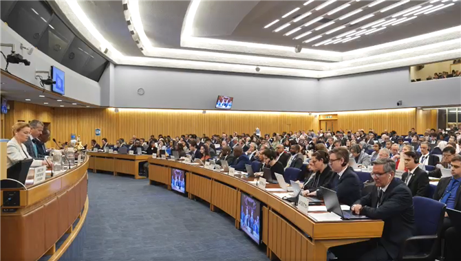 IMO秘书长：本周交流要建设性、务